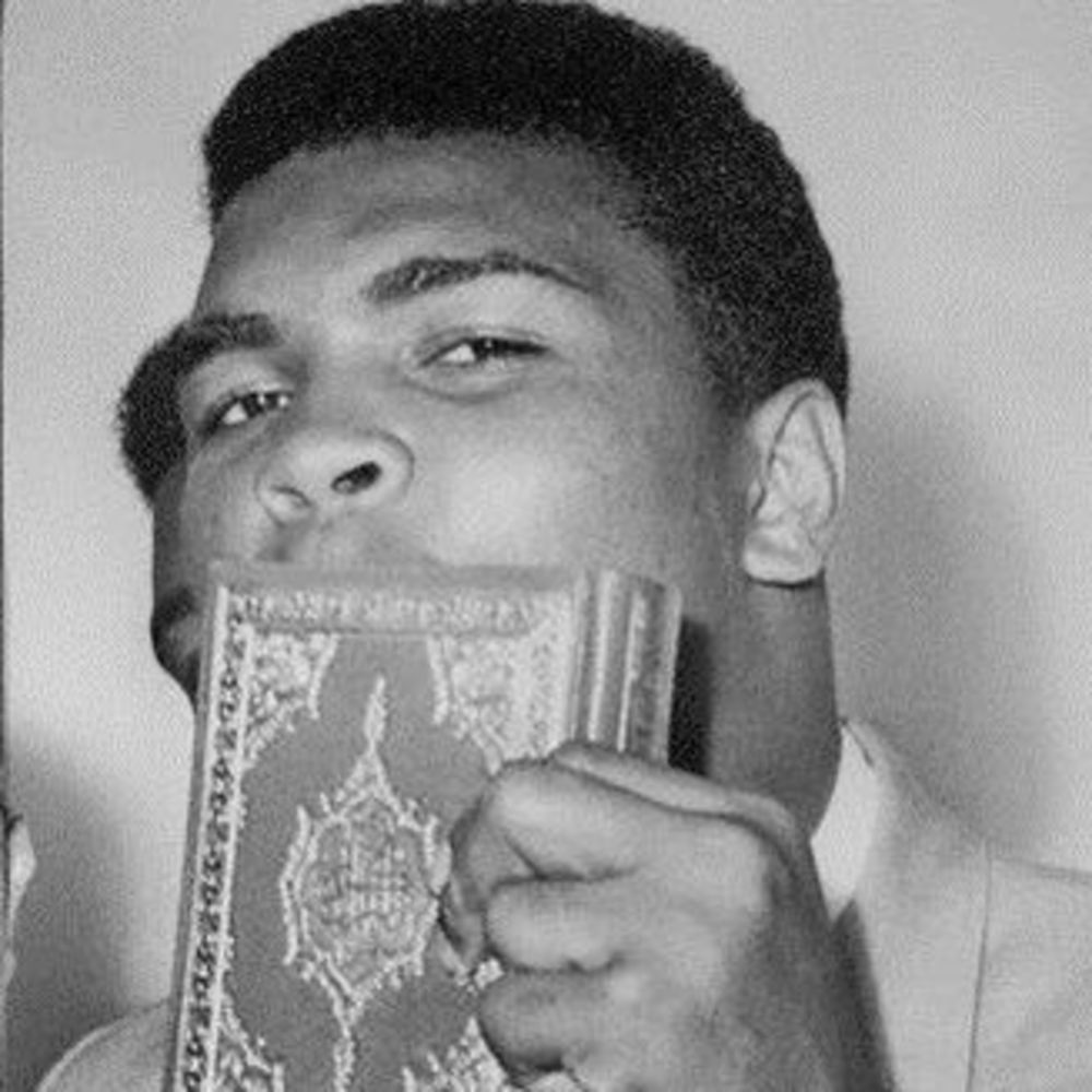 Meet your Posher, Samia